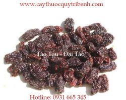 Mua bán táo tàu (Đại táo) tại Hà Nội có tác dụng trị đau họng hiệu quả
