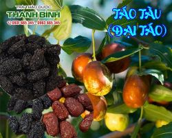 Mua bán táo tàu (đại táo) tại quận 7 hỗ trợ điều trị ung thư