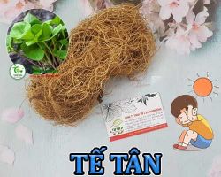 Mua bán tế tân ở quận Tân Phú có công dụng giảm nhanh chứng sổ mũi hay nghẹt