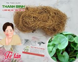 Mua bán tế tân tại huyện Đan Phượng điều trị cảm sốt
