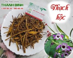 Mua bán thạch hộc tại huyện Đan Phượng có tác dụng chữa lao lực, gầy yếu