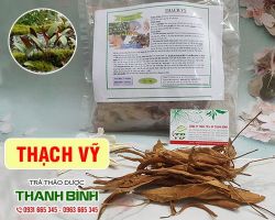 Mua bán thạch vỹ tại quận 8 có tác dụng điều trị chứng rụng tóc rất tốt