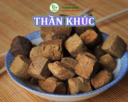 Mua bán thần khúc tại Cần Thơ giúp điều trị đau đầu, chóng mặt hiệu quả