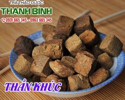 Mua bán thần khúc tại quận 1 có tác dụng trị bụng ngực đầy nuốt chua