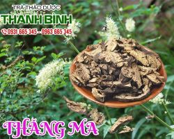 Mua bán thăng ma ở quận Gò Vấp giúp tăng cao bạch cầu