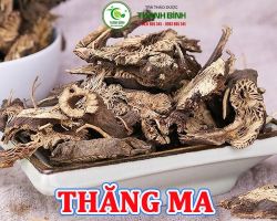 Mua bán thăng ma tại huyện Thanh Trì có công dụng làm huyết áp giảm tốt nhất