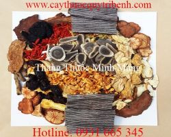 Mua bán thang thuốc minh mạng tại Quảng Trị có tác dụng tốt cho tiêu hóa