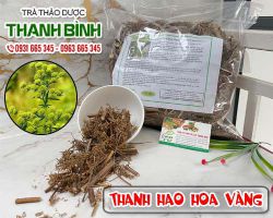 Mua bán thanh hao hoa vàng ở quận Phú Nhuận có tác dụng chữa tiểu ra máu