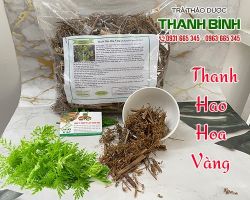 Mua bán thanh hao hoa vàng tại huyện Gia Lâm hỗ trợ điều trị nóng sốt nhẹ