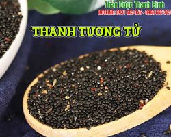 Mua bán thanh tương tự ở quận Tân Bình giúp giảm sưng mắt đỏ tốt nhất