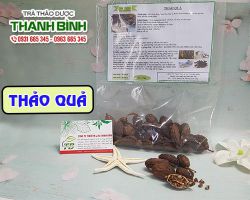 Mua bán thảo quả ở quận Gò Vấp giúp giải độc uy tín nhất