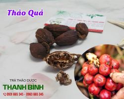 Mua bán thảo quả tại huyện Phú Xuyên có tác dụng trừ đờm