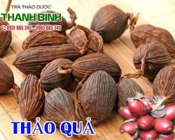 Mua bán thảo quả tại quận 4 có tác dụng trị nôn mửa hiệu quả nhất