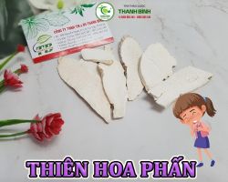 Mua bán thiên hoa phấn tại Bắc Giang hỗ trợ cải thiện tình trạng người dễ mệt mỏi