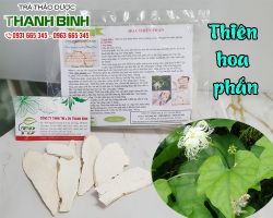 Mua bán thiên hoa phấn tại huyện Quốc Oai giúp chữa bệnh sởi
