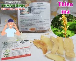 Mua bán thiên ma tại huyện Sóc Sơn điều trị đau thần kinh