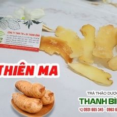 Mua bán thiên ma tại quận 4 hỗ trợ và điều trị đau nhức do phong thấp