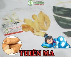 Mua bán thiên ma tại quận 9 giúp cải thiện các cơn hoa mắt hiệu quả