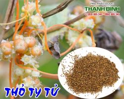 Mua bán thỏ ty tử ở quận Thủ Đức chữa thận yếu, liệt dương