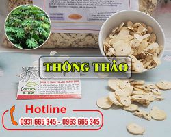 Mua bán thông thảo ở quận Tân Phú có tác dụng thanh nhiệt giải độc