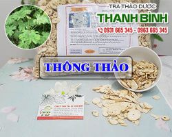 Mua bán thông thảo tại quận 8 có tác dụng lợi niệu hiệu quả nhất