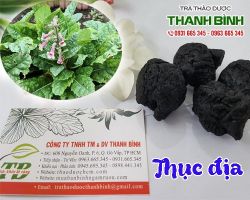 Mua bán thục địa tại huyện Phúc Thọ điều trị bệnh xương khớp