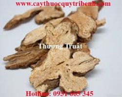 Mua bán thương truật tại quận 2 có công dụng giúp tiêu hóa tốt nhất