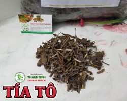 Mua bán tía tô tại Hà Giang hỗ trợ điều trị hen suyễn hiệu quả nhất