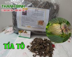 Mua bán tía tô tại huyện Mê Linh hỗ trợ làm đẹp da