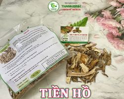Mua bán tiền hồ tại Đà Nẵng có công dụng điều trị bệnh cảm, đau đầu tốt nhất