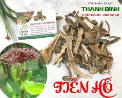 Mua bán tiền hồ tại TP HCM uy tín chất lượng tốt nhất