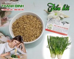 Mua bán tiểu hồi tại huyện Thanh Oai giúp tăng cường sinh lý