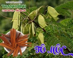 Mua bán tô mộc tại quận Thanh Xuân giảm chứng ho gà