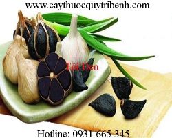 Mua bán tỏi đen ở quận Bình Thạnh chữa trị đái tháo đường tốt nhất