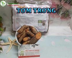 Mua bán tơm trơng ở quận Thủ Đức hỗ trợ giúp lưu thông tuần hoàn máu