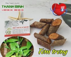 Mua bán tơm trơng tại huyện Chương Mỹ giúp thải độc tố