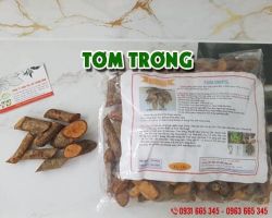 Mua bán tơm trơng tại quận 1 hỗ trợ điều trị đau dây thần kinh
