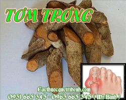 Tơm trơng