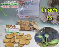 Mua bán trạch tả tại huyện Mỹ Đức hỗ trợ chữa nhiễm trùng đường tiết niệu, phù