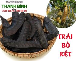 Mua bán trái bồ kết tại quận 5 có tác dụng điều trị ho có đờm