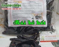 Mua bán trái bồ kết tại quận Hoàn Kiếm có tác dụng loại bỏ vảy gàu