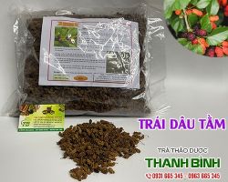 Mua bán trái dâu tằm tại TP HCM uy tín chất lượng tốt nhất