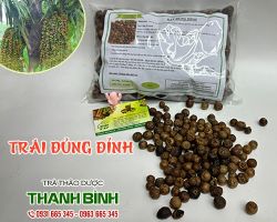 Mua bán trái đủng đỉnh ở TP Thủ Đức giúp điều trị đau nhức tay chân
