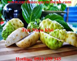 Mua bán trái nhàu khô chất lượng tại Hà Nội có tác dụng hỗ trợ giảm đau