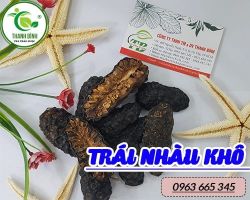Mua bán trái nhàu khô tại huyện Thường Tín chữa đau mỏi xương khớp