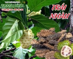 Mua bán trái nhàu khô tại quận 12 có tác dụng chống lão hóa