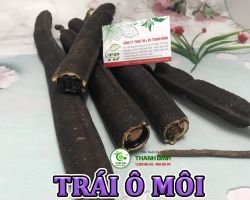 Mua bán trái ô môi tại Gia Lai hỗ trợ điều trị đau nhức xương khớp