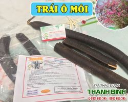 Mua bán trái ô môi tại quận Thanh Xuân giúp điều trị viêm da uy tín nhất