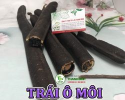 Mua bán trái ô môi tại Vũng Tàu có công dụng thanh nhiệt cơ thể hiệu quả