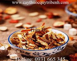 Mua bán trần bì (vỏ quýt) ở đâu tai tp hcm ???